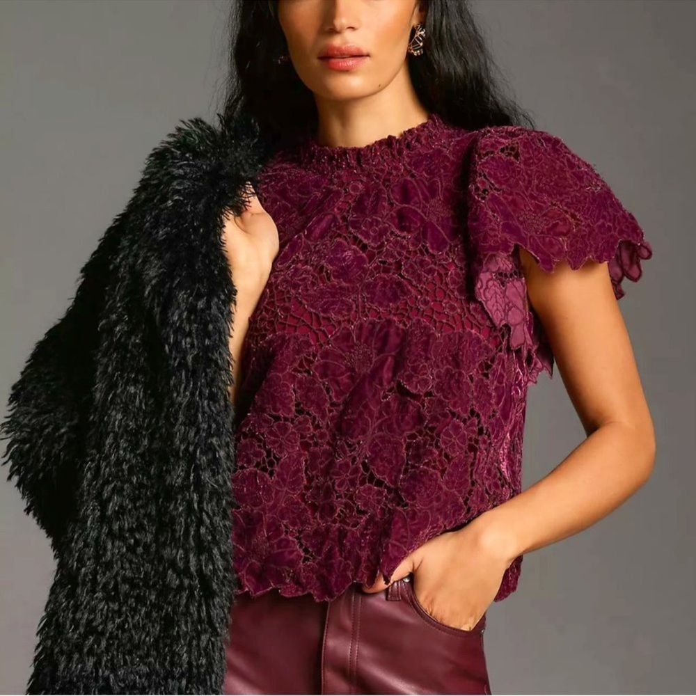 Anthropologie Embroidered Velvet Cutwork Top in Plum